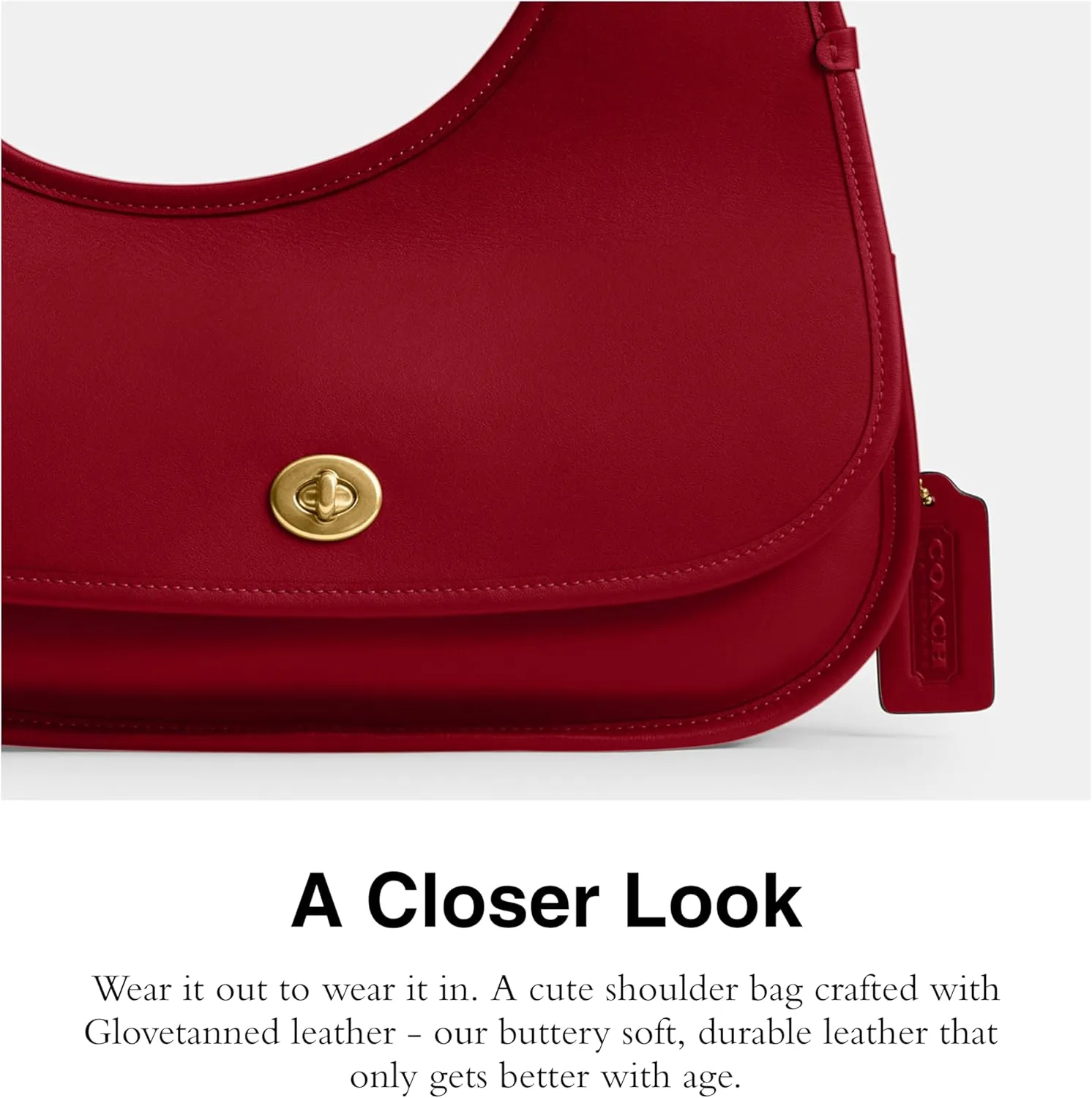 Coach Cashin Carry Crescent Bag