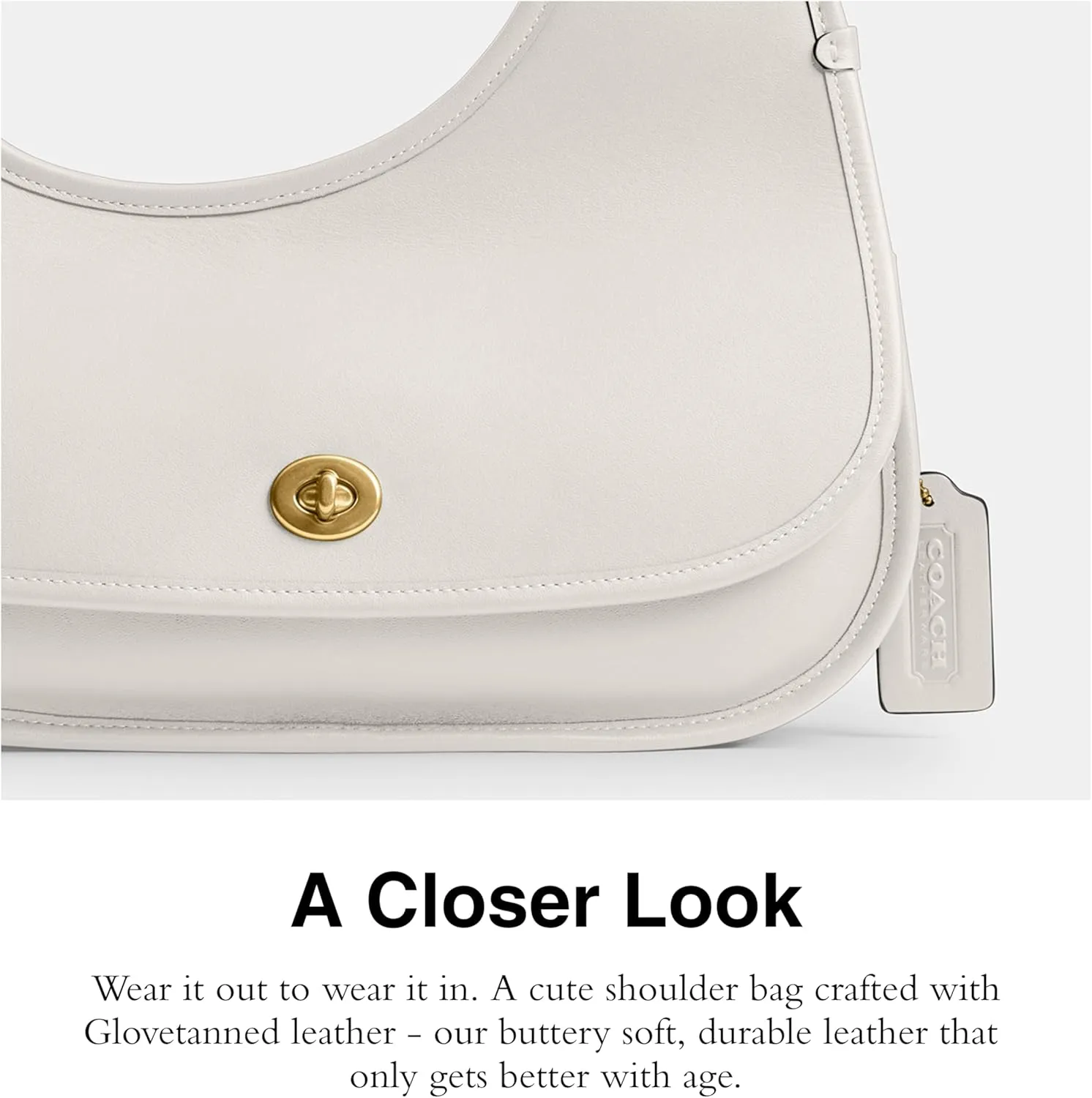 Coach Cashin Carry Crescent Bag